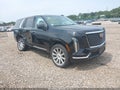 2025 Cadillac Escalade ESV — photo 1 of 17 | VIN 1GYS9LRL4SR124410