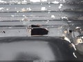 2008 Chevrolet Colorado — photo 12 of 12 | VIN 1GCDT19E788165215