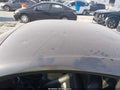 2004 Ford Mustang — photo 6 of 14 | VIN 1FAFP42RX4F202569