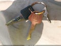 2001 Chevrolet Lumina — photo 11 of 11 | VIN 2G1WL52J711294368