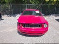 2005 Ford Mustang — photo 12 of 17 | VIN 1ZVFT80NX55114316