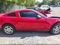 2005 Ford Mustang — photo 13 of 17 | VIN 1ZVFT80NX55114316