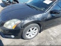 2005 Nissan Maxima — photo 6 of 17 | VIN 1N4BA41E65C835264