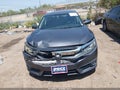 2017 Honda Civic — photo 12 of 16 | VIN 2HGFC1F33HH644383