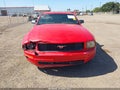2007 Ford Mustang — photo 12 of 16 | VIN 1ZVFT80N075235357