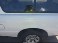 2011 Ford Ranger — photo 13 of 13 | VIN 1FTKR1ED4BPA35666