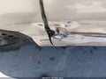 2010 Honda Civic — photo 13 of 13 | VIN 2HGFG1B89AH519464