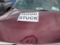 2010 Ford F-150 — photo 10 of 20 | VIN 1FTFW1CV8AKB25811