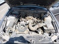 2008 Ford Mustang — photo 10 of 11 | VIN 1ZVHT80N985153945