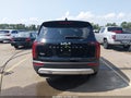 2022 Kia Telluride — photo 16 of 16 | VIN 5XYP24HC0NG206032