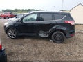 2014 Ford Escape — photo 15 of 17 | VIN 1FMCU0JX5EUE37730