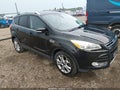 2014 Ford Escape — photo 1 of 17 | VIN 1FMCU0JX5EUE37730