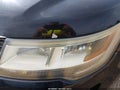 2016 Ford Explorer — photo 12 of 21 | VIN 1FM5K8B86GGD17831