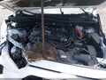 2025 Toyota RAV4 Hybrid — photo 10 of 16 | VIN 4T3LWRFVXSU166463