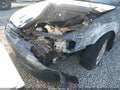 1998 Toyota Camry — photo 13 of 14 | VIN JT2BF28K2W0115614
