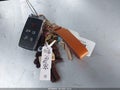 2024 Land Rover Range Rover Evoque — photo 11 of 16 | VIN SALZJ2FX9RH244709