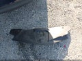 2021 Acura RDX — photo 12 of 17 | VIN 5J8TC1H51ML016384