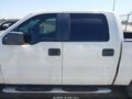 2007 Ford F-150 — photo 14 of 16 | VIN 1FTRW14W17KC70279