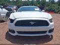 2017 Ford Mustang — photo 13 of 17 | VIN 1FA6P8AM6H5280596