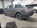 2009 Ford F-150 — photo 3 of 16 | VIN 1FTPW14VX9FB24618
