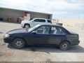 1998 Toyota Corolla — photo 14 of 16 | VIN 1NXBR12E7WZ100297
