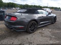 2019 Ford Mustang — photo 4 of 17 | VIN 1FATP8FF9K5175930