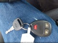 2013 Chevrolet Silverado 1500 — photo 11 of 18 | VIN 1GCRKSE72DZ121651