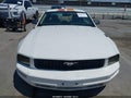 2006 Ford Mustang — photo 6 of 11 | VIN 1ZVFT80N765174782
