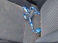 1996 Volkswagen Jetta — photo 11 of 12 | VIN 3VWWA81H5TM107778