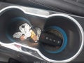 2014 Ford Escape — photo 11 of 11 | VIN 1FMCU0J93EUA04201