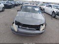 1998 Toyota Corolla — photo 6 of 15 | VIN 2T1BR12EXWC710356