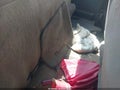 2000 Nissan Frontier — photo 8 of 16 | VIN 1N6DD26S2YC408159