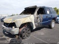 2003 Chevrolet Tahoe — photo 2 of 11 | VIN 1GNEK13T63J337502