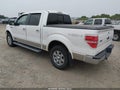 2010 Ford F-150 — photo 3 of 16 | VIN 1FTFW1EV1AFC07630