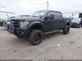 2014 Ford F-150 — photo 2 of 16 | VIN 1FTFW1EF1EKG26843