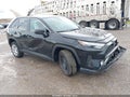 2024 Toyota RAV4 — photo 1 of 16 | VIN 2T3F1RFV2RC442898