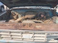 1977 Chevrolet C-10 — photo 10 of 16 | VIN CCU147B139298