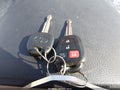 2015 Toyota RAV4 — photo 11 of 16 | VIN 2T3WFREV0FW183065