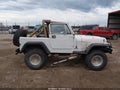 1990 Jeep Wrangler — photo 13 of 16 | VIN 2J4FY19E2LJ520016