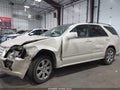 2008 Cadillac SRX — photo 6 of 17 | VIN 1GYEE63A180104615
