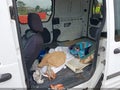 2011 Ford Transit Connect — photo 8 of 16 | VIN NM0LS6BN0BT046512