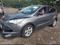 2014 Ford Escape — photo 2 of 16 | VIN 1FMCU0GX5EUA12225