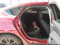 2018 Ford Fusion — photo 8 of 17 | VIN 3FA6P0G73JR144979