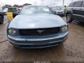 2007 Ford Mustang — photo 12 of 17 | VIN 1ZVFT80N075369141