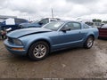 2007 Ford Mustang — photo 14 of 17 | VIN 1ZVFT80N075369141