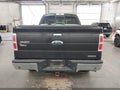 2013 Ford F-150 — photo 17 of 17 | VIN 1FTFX1EF5DKD25939