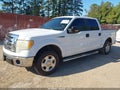 2010 Ford F-150 — photo 2 of 18 | VIN 1FTEW1C87AFD57105