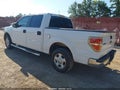 2010 Ford F-150 — photo 3 of 18 | VIN 1FTEW1C87AFD57105