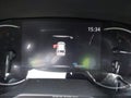 2023 Toyota RAV4 — photo 7 of 15 | VIN 2T3W1RFV9PW268372