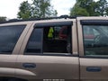 2002 Chevrolet Trailblazer — photo 12 of 12 | VIN 1GNDT13S322440854